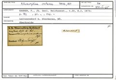 Karteikarte zum Belegmaterial von Allomorphina cretacea Reuss, 1851